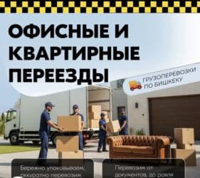 я ищу работу технички: Грузоперевозки Грузоперевозки Грузоперевозки Грузоперевозки — 1