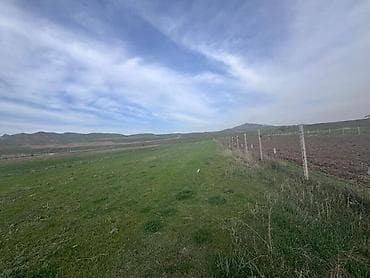 купить пасеку: 50 соток, Для сельского хозяйства — 5