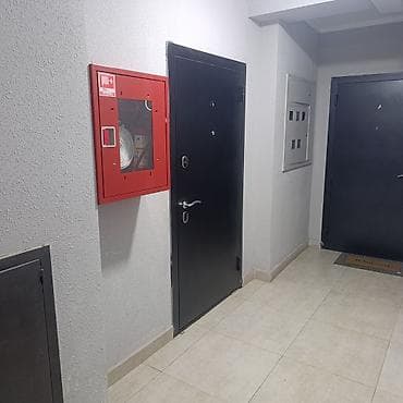 38 м²