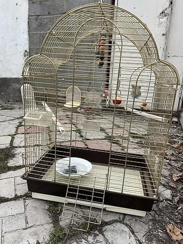 поилки для курей: Клетка для птиц с куполом - Просторная металлическая клетка с арочной — 1