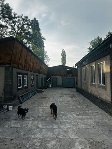 куплю дом село садовое: Дом, 67 м², 4 комнаты, Собственник, Косметический ремонт — 3