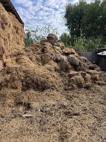 продам мясо: Самовывоз бесплатно Солома для хозяйственных нужд. Описание: - — 2