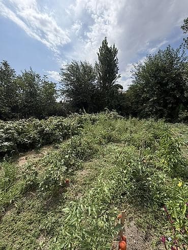 участки ак ордо: 📍 В Сокулуке от трассы 800 м продается дом на участке 7.5 соток, 110 — 5