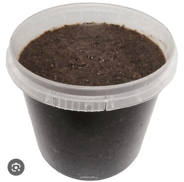 Сяби! Корейский деликатес! Крупный не разбавленный! Цена за 1 at lalafo.kg Сяби! Корейский деликатес! Крупный не разбавленный! Цена за 1