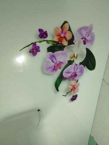 шпатель для натяжных потолков: Керме шыптар Жылтырабаган, 3D потолоктор, Жылтырак Акысыз ченөө, Кепилдиги, Акысыз консультация — 3