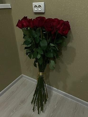 Букет из красных роз - Состав: крупные бархатистые красные розы