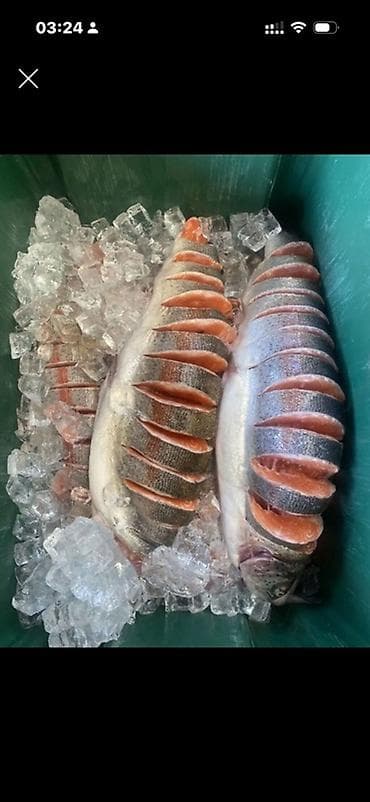 Форель кармап тазалаканга бала керек 17-45жаш эсалуучу жайга