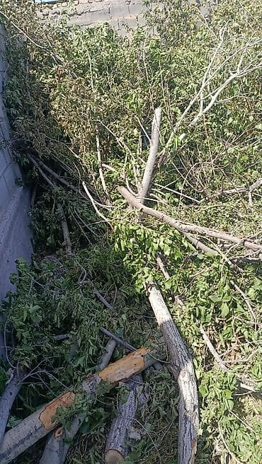 уголь ивановка: Дрова бесплатно, самовызов новопокровка — 4