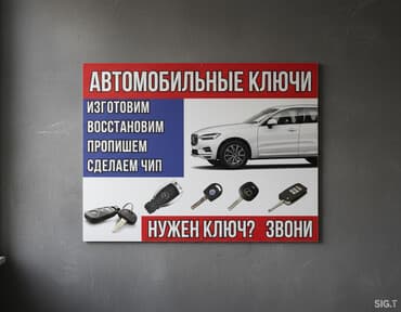 купить черепаху в бишкеке: Ключ Новый, Оригинал — 2