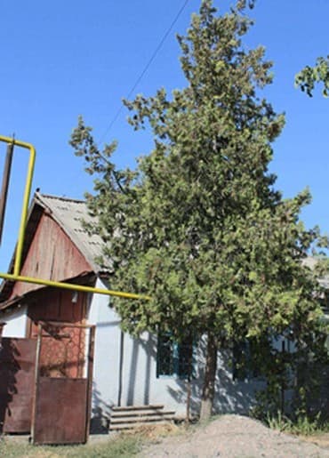 пол дома пишпек: Полдома, 43 м², 2 комнаты, Собственник — 2