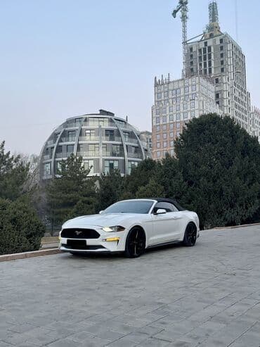 мустанк машина: Ford Mustang: 2018 г., 2.3 л, Бензин, Кабриолет — 1