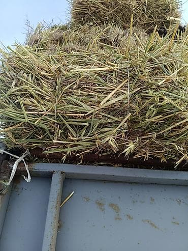 сатам алмашам: Беде 1кос аралаш — 2