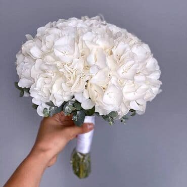 тренинг: Видео и фото сьемка в Бишкеке. Видеосъемка и профессиональный — 2