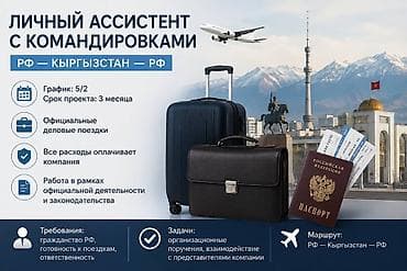 официальный: Помощник — 1