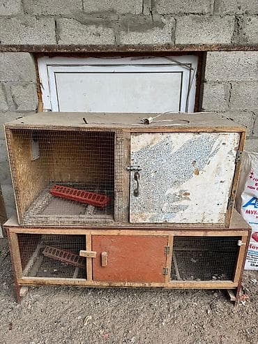 будка для алабая: Продам 2 клетки для птиц — 5