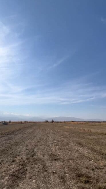 меняю дом на участок: 31 соток, Для строительства, Красная книга, Тех паспорт — 4