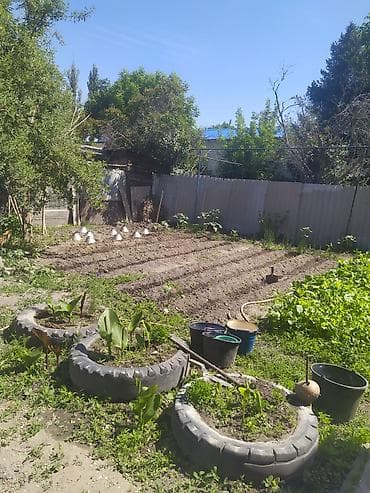 asman residence: Продаю большой дом в районе рынка чакиш-ата.дом 120кв.м в доме есть — 5