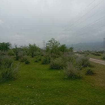 места каракол: Продаётся участок с фундаментом красная книга пять соток 2 комната — 10