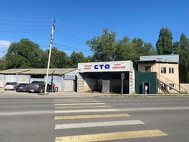 99655085 соток