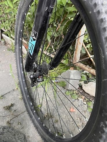 Велосипеддер: Тоо велосипеди, Skillmax, Велосипед алкагы L (172 - 185 см), Болот, Колдонулган — 4