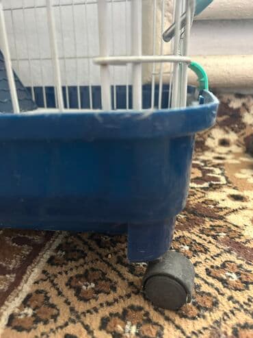 купить кролик декоративный: Клетка-небоскреб Для шиншиллы или морской свинки Имеет 6 этажей — 6