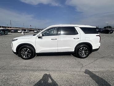 железные пороги: Hyundai Palisade: 2020 г., 2.2 л, Автомат, Дизель, Кроссовер — 9