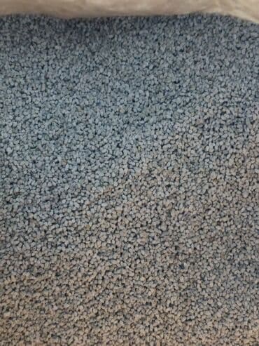 продаю пшеницы: Семена кормовых растений: Люцерна — 9