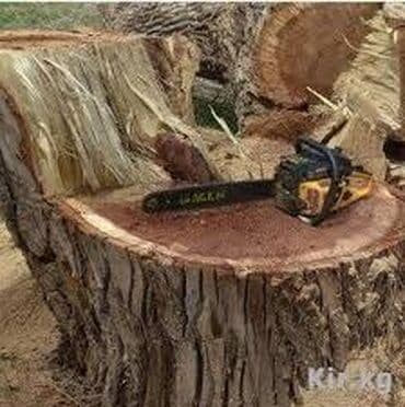 реставрация кожанных изделий: Пилю Деревья Дрова. Мастер. Продаю Уголь и Дрова — 2