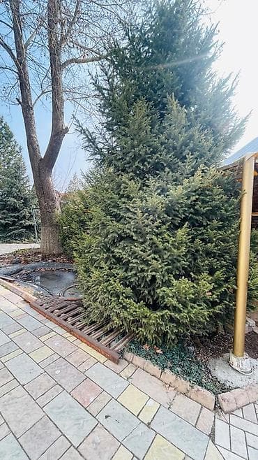 гастинитца: Просторный мансардный дом с продуманной планировкой и уютным — 9