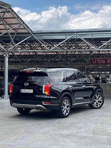 range rower: Hyundai Palisade: 2021 г., Автомат, Бензин, Кроссовер — 4