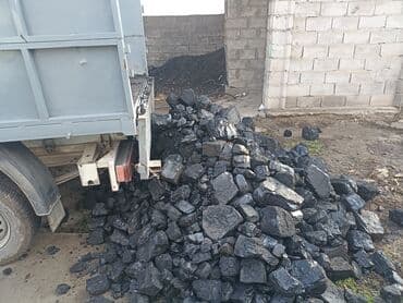 радиаторы отопления: Coal briquettes Платная доставка — 1
