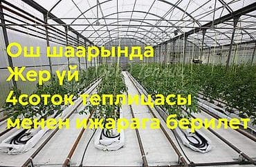 Гаражи: Ош шаарында жер үй 4соток теплицасы менен ижарага берилет — 1