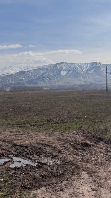 ишу земельный дом кок жар: 385 соток, Для сельского хозяйства, Договор дарения — 3