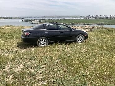 дверь rx330: Lexus ES: 2004 г., 3.3 л, Автомат, Седан — 3