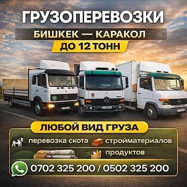 арабские курсы бишкек: Грузоперевозки Бишкек Иссык-Куль Бишкек Каракол Бишкек Балыкчы Бишкек — 2