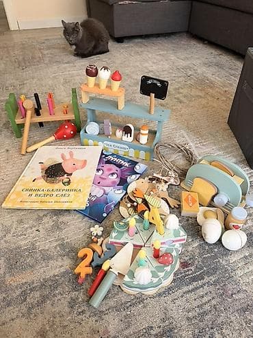 break dance: Большой б/у сет развивающих детских игрушек Состав: - Деревянный — 8