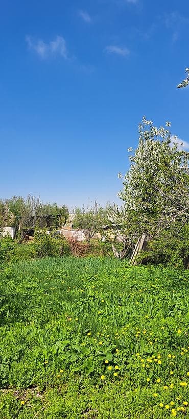 ош ишкаван: Продаётся земельный участок с домом в зелёной сельской местности. 8 — 2