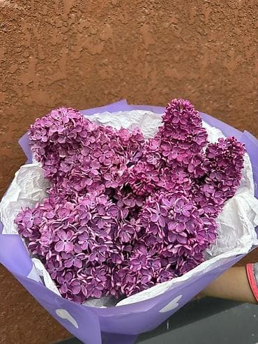 Букет из сирени - Пышная моно-букетная композиция из веток сирени