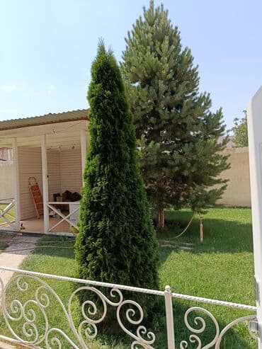 снять большой дом на сутки: 200 м², 6 комнат, Забор, огорожен — 6