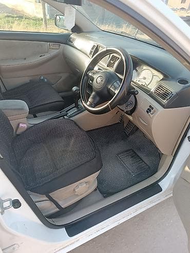 чернение шин: Toyota Allex: 2003 г., 1.5 л, Автомат, Бензин, Хэтчбэк — 9