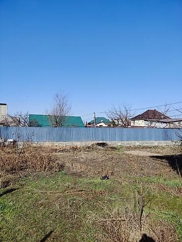 Жер тилкелери: 6 соток, Кызыл китеп — 4