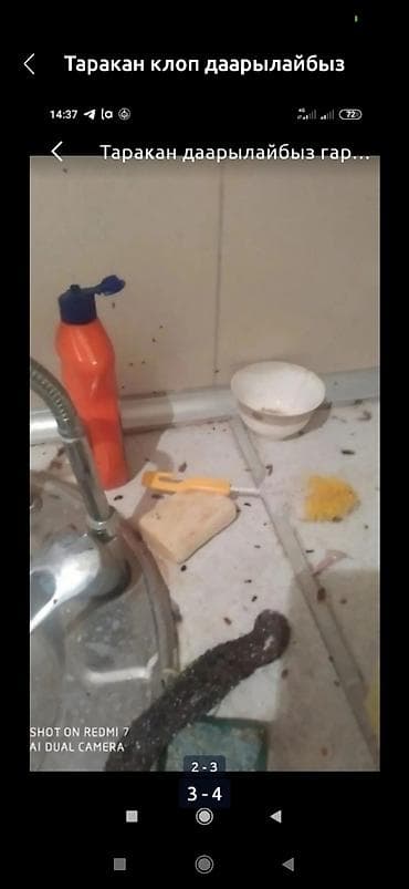 сколько стоит дезинфекция: Дезинфекция дезинфекция дезинфекция дезинфекция дезинфекция Таракан — 4