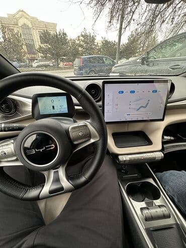 дельфин рекс: BYD Dolphin: 2023 г., Автомат, Электромобиль, Хэтчбэк — 7