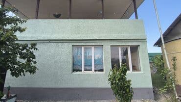 Шаймандарды ижарага алуу: Декоративдик шыбоо | Текстуралык 3-5 жылдык тажрыйба — 2