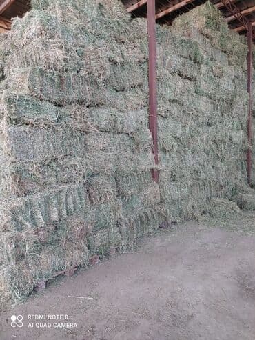 купить измельчитель травы и сена: Продаю тюки чистый клевер второй и третий кос без доставки с места — 2