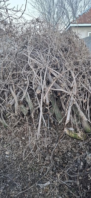 Инструменттер: Отун — 1