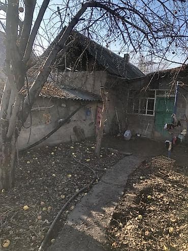 кок жар ж м: Дом с участком и садом - район Аламедин -асфальтированная дорога к — 2