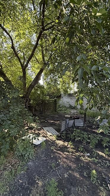 Продажа домов: Продаётся жилой дом с Земельным участком в с. Новопокровка — 4