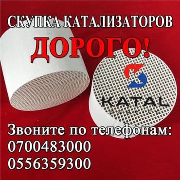 Принимаем автомобильные катализаторы всех марок. Катализаторы содержат
