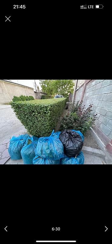 Работа: 🌱Я Садовник Стрижка Живой изгородь,самшит,Туи,хвойные растения, Я — 6